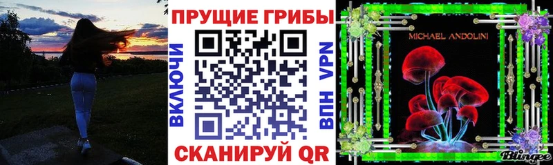 Галлюциногенные грибы Psilocybe  Ленинградская 