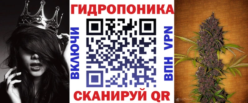Марихуана семена  Ленинградская 